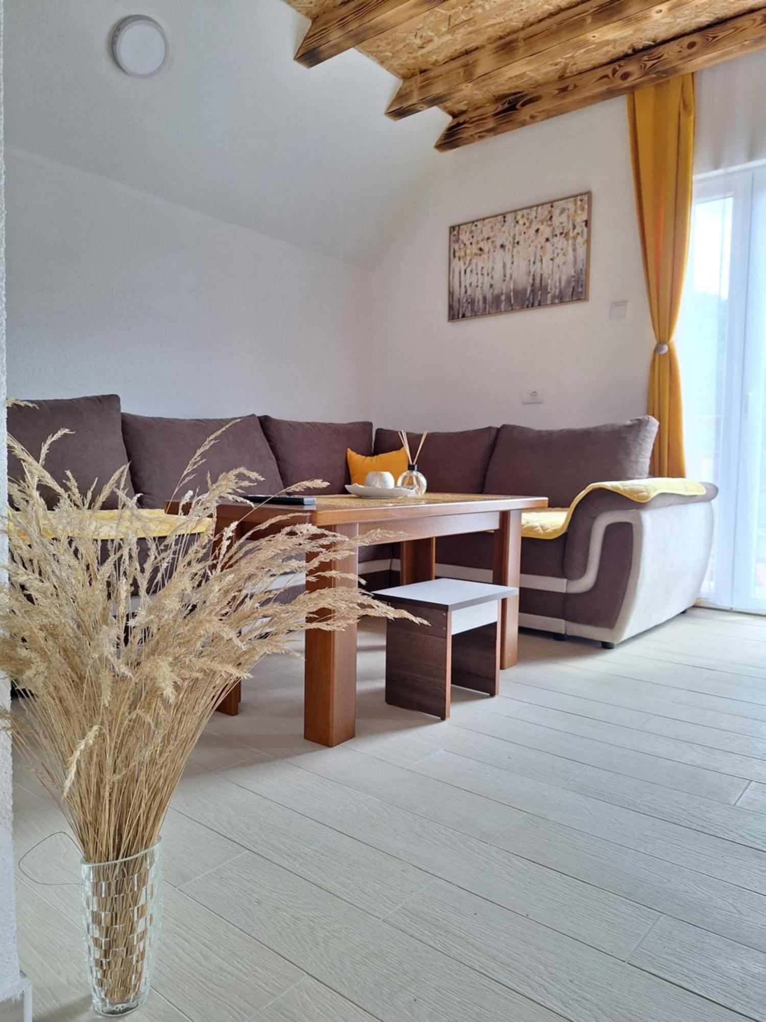 Apartmani Lena Pluzine Exterior photo