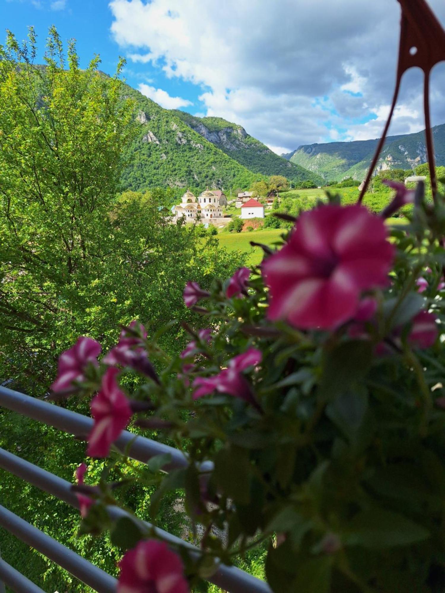 Apartmani Lena Pluzine Exterior photo